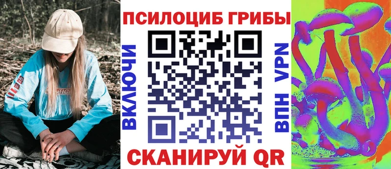 Галлюциногенные грибы Psilocybine cubensis  Купить  Дятьково 